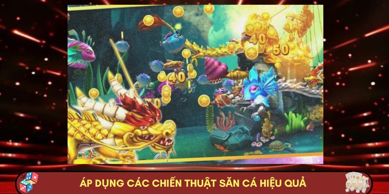 Áp dụng các chiến thuật săn cá hiệu quả